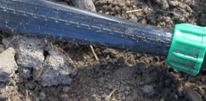 Soaker hoses vs drip irrigation: which is better for your garden soaker hoses for gardens Soaker hoses vs drip irrigation: which is better for your garden soaker hoses for gardens