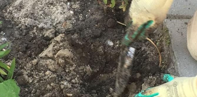 Social connections why gardening is good for you