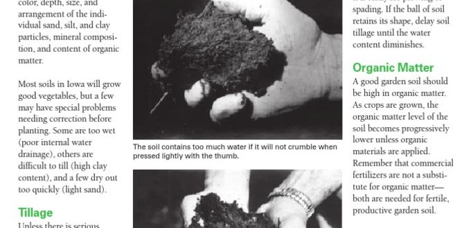 Soil and nutrient management planting for small gardens Soil and nutrient management planting for small gardens