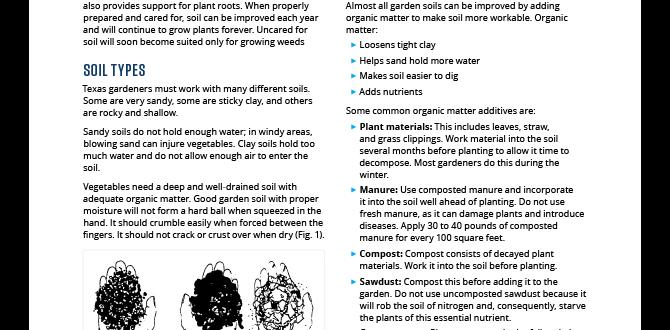Soil preparation and fertilization easy gardening for beginners
