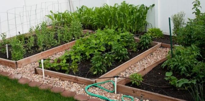 Spacesaving gardening tools gardening ideas for a small space Spacesaving gardening tools gardening ideas for a small space