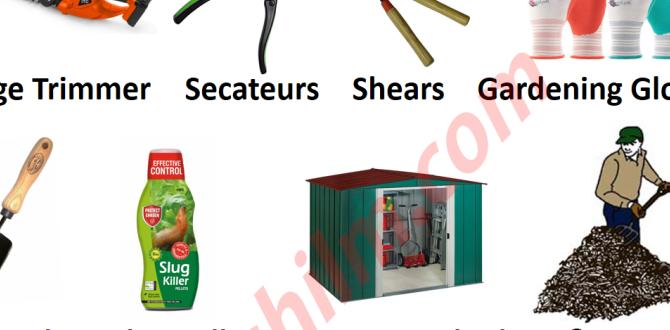 Specialized types of gardening other words for gardening Specialized types of gardening other words for gardening