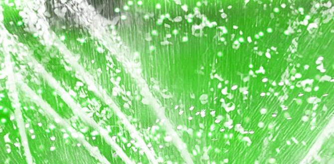 Sprinkler systems: a comprehensive look watering system for gardens Sprinkler systems: a comprehensive look watering system for gardens