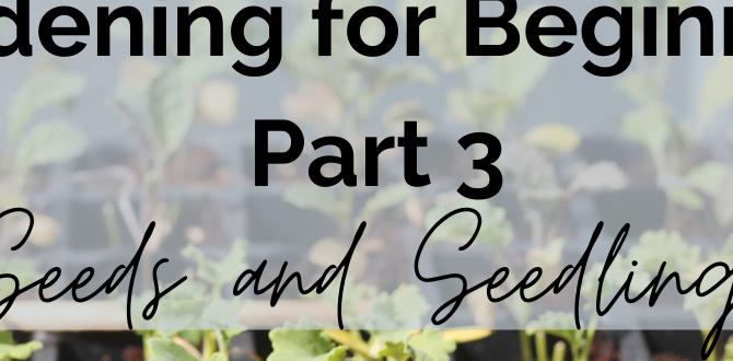 Starting seeds vs buying seedlings gardening 101 for beginners Starting seeds vs buying seedlings gardening 101 for beginners