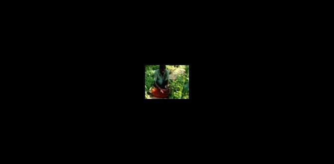 Stepbystep guide to amending clay soil how to amend clay soil for gardening
