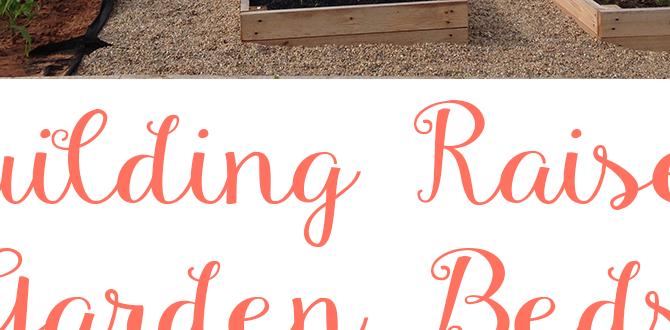 Stepbystep guide to building raised beds how to build raised beds for gardening
