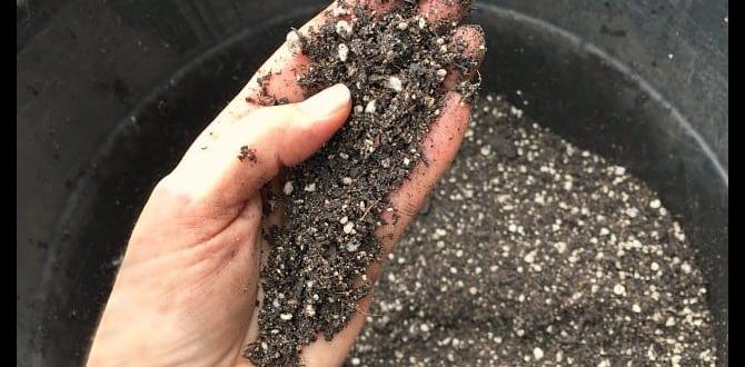 Stepbystep guide to creating your potting soil diy potting soil for container gardening Stepbystep guide to creating your potting soil diy potting soil for container gardening