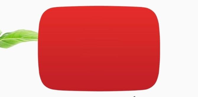 Stepbystep guide to using soil test kits soil test kits for gardens Stepbystep guide to using soil test kits soil test kits for gardens