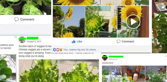 Success stories: gardens thriving with hay hay for gardening Success stories: gardens thriving with hay hay for gardening