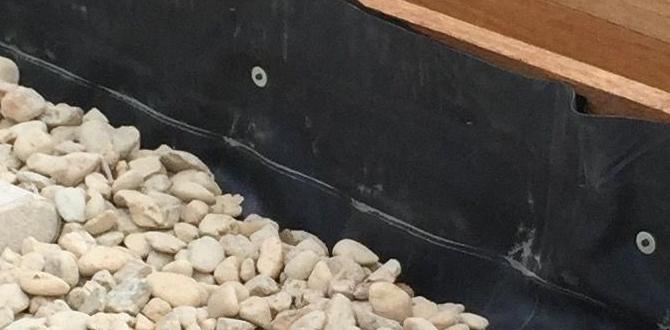 Success stories: inspirational examples of disabled gardeners raised bed gardening for disabled Success stories: inspirational examples of disabled gardeners raised bed gardening for disabled