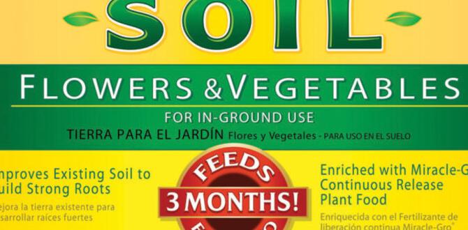 Success stories: real gardeners’ experiences with miraclegro miracle gro for vegetable gardens Success stories: real gardeners’ experiences with miraclegro miracle gro for vegetable gardens