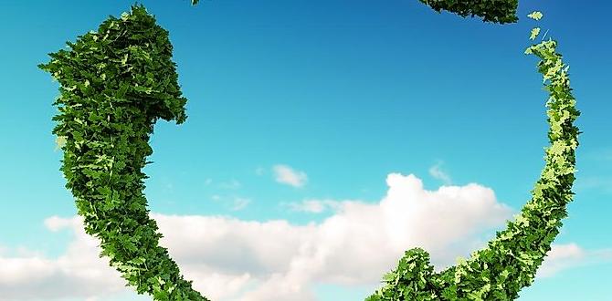 Sustainability and environment michelle powell for miami gardens council Sustainability and environment michelle powell for miami gardens council