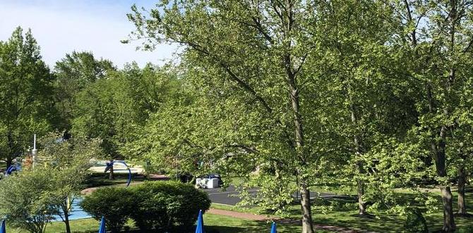 Testimonials and success stories chartwell gardens an oasis for outdoor celebrations and events Testimonials and success stories chartwell gardens an oasis for outdoor celebrations and events