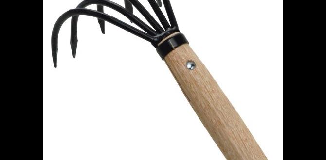 Testimonials and user experiences claw tool for gardening Testimonials and user experiences claw tool for gardening