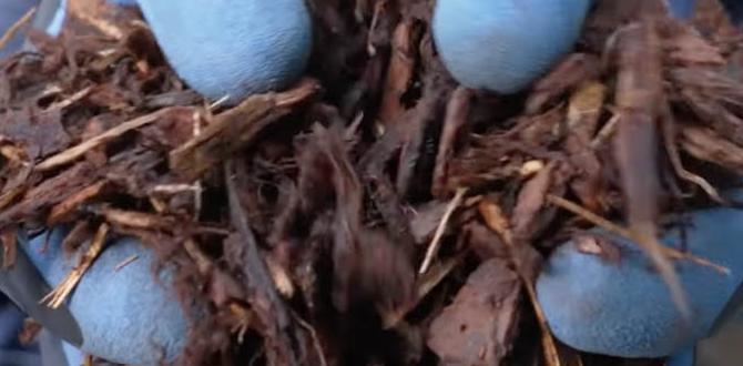 Testimonies and case studies from gardeners bark mulch for gardens Testimonies and case studies from gardeners bark mulch for gardens