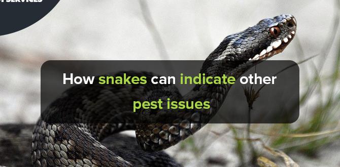 The impact of snakes on pest populations are snakes good for gardens