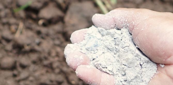 The importance of soil ph in gardening lime for gardening The importance of soil ph in gardening lime for gardening