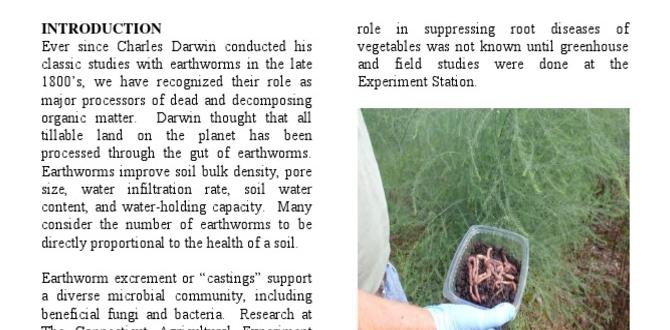 The role of earthworms in soil health are earthworms good for gardens The role of earthworms in soil health are earthworms good for gardens