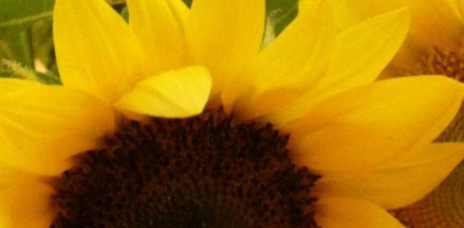 The role of faith in a successful garden bible verse for gardening The role of faith in a successful garden bible verse for gardening