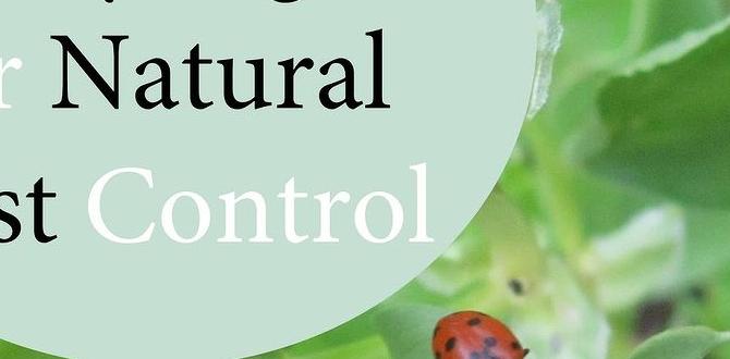 The role of ladybugs in pest control why are ladybugs good for gardens The role of ladybugs in pest control why are ladybugs good for gardens