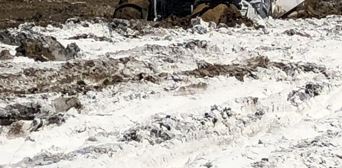 The role of lye in soil modification lye for gardening