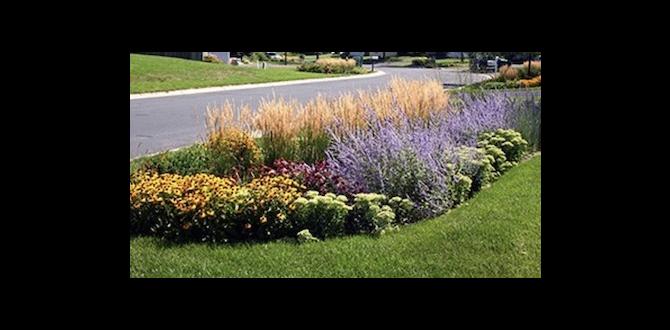 The role of rainfall in gardening weather for gardeners