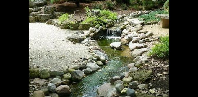 The role of water in japanese gardens ideas for small japanese gardens The role of water in japanese gardens ideas for small japanese gardens