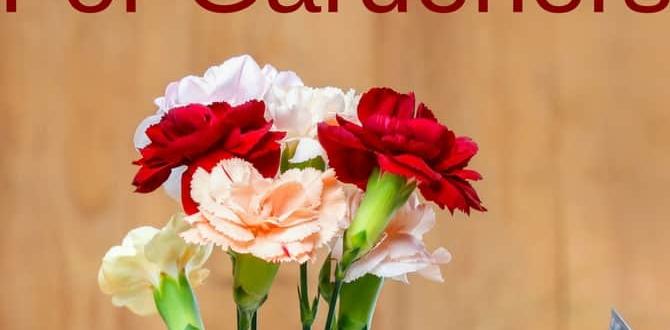 Thoughtful gift ideas for every gardener christmas gifts for gardeners Thoughtful gift ideas for every gardener christmas gifts for gardeners