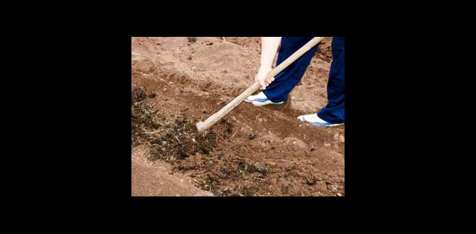Timing your soil preparation how to prepare soil for gardening Timing your soil preparation how to prepare soil for gardening
