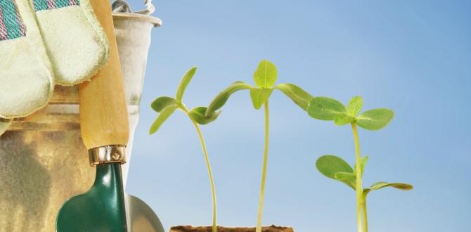 Tips for beginners in gardening clubs gardening clubs for beginners Tips for beginners in gardening clubs gardening clubs for beginners