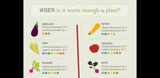 Tips for choosing the right plants for your zone what zone is nc in for gardening Tips for choosing the right plants for your zone what zone is nc in for gardening