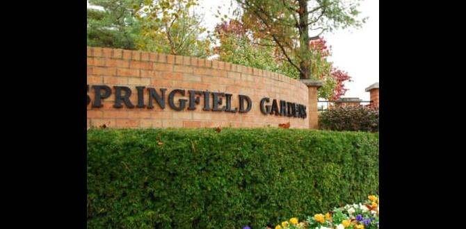 Tips for finding the best apartment in springfield gardens springfield gardens apartments for rent