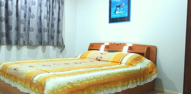 Tips for finding the perfect 2 bedroom house 2 bedroom house for rent gardena Tips for finding the perfect 2 bedroom house 2 bedroom house for rent gardena