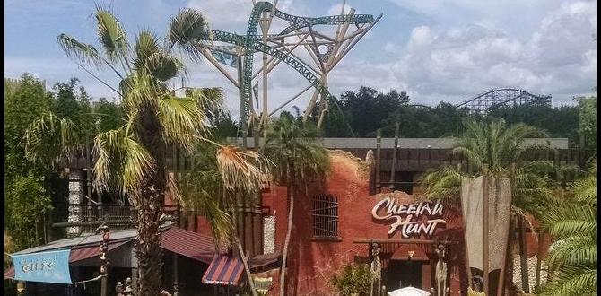 Tips for firsttime visitors address for busch gardens tampa florida Tips for firsttime visitors address for busch gardens tampa florida