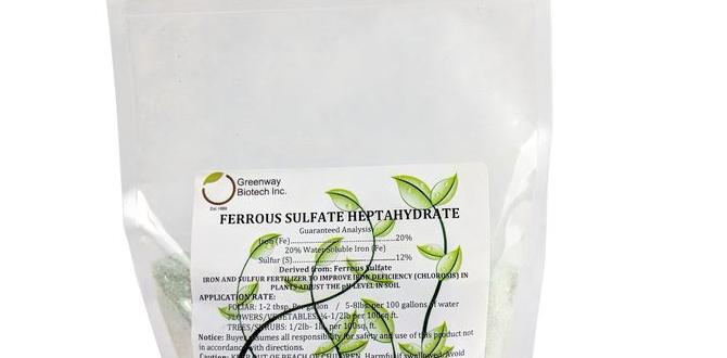 Tips for incorporating ferrous sulfate into your gardening routine ferrous sulfate for gardening Tips for incorporating ferrous sulfate into your gardening routine ferrous sulfate for gardening