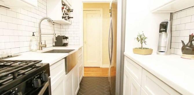 Tips for moving in 1 bedroom flat for rent kew gardens Tips for moving in 1 bedroom flat for rent kew gardens