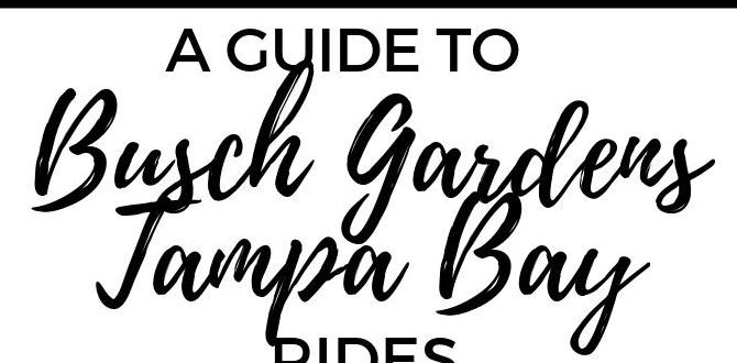 Tips for navigating the park best busch gardens tampa rides Tips for navigating the park best busch gardens tampa rides