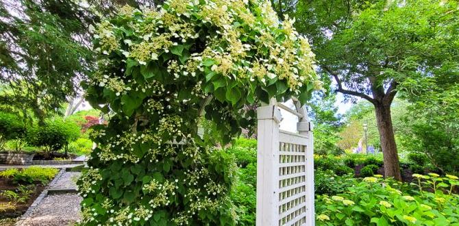 Tips for planning your visit best time to visit heritage museum and gardens Tips for planning your visit best time to visit heritage museum and gardens