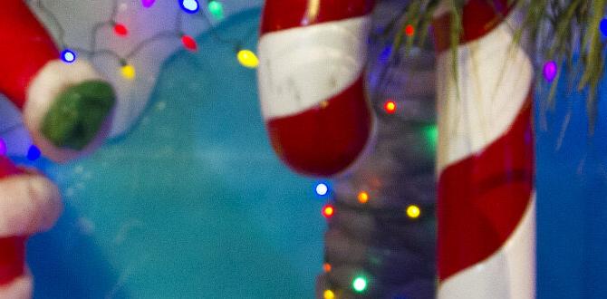 Tips for planning your visit moody gardens for christmas Tips for planning your visit moody gardens for christmas