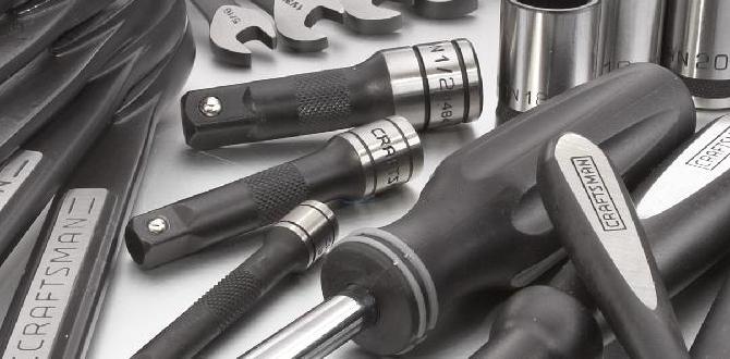 Tool maintenance and care name of tools for gardening Tool maintenance and care name of tools for gardening