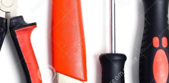 Tools and equipment for successful gardening words for gardening Tools and equipment for successful gardening words for gardening