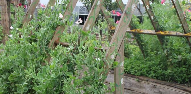 Tools and gadgets every gardener needs christmas gifts for gardeners Tools and gadgets every gardener needs christmas gifts for gardeners