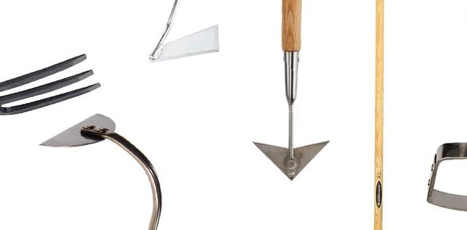 Traditional hoes types of hoes for gardening Traditional hoes types of hoes for gardening