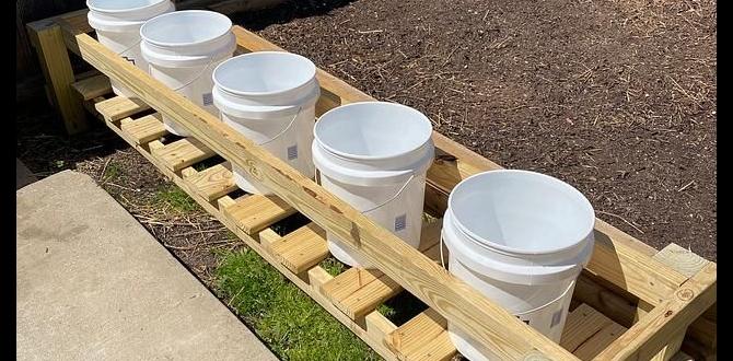Types of 5 gallon buckets suitable for gardening 5 gallon buckets for gardening Types of 5 gallon buckets suitable for gardening 5 gallon buckets for gardening