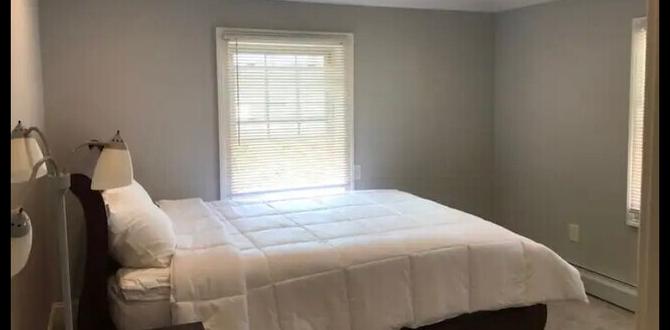 Types of apartments available apartments for rent in springfield gardens ny Types of apartments available apartments for rent in springfield gardens ny