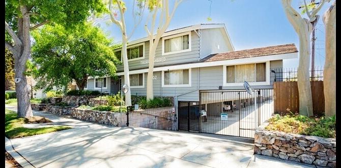 Types of apartments available in gardena apt for rent in gardena ca Types of apartments available in gardena apt for rent in gardena ca