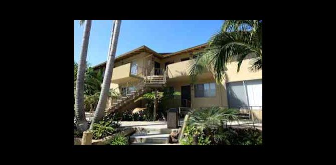 Types of apartments available in gardena gardena apartments for rent 90247 Types of apartments available in gardena gardena apartments for rent 90247