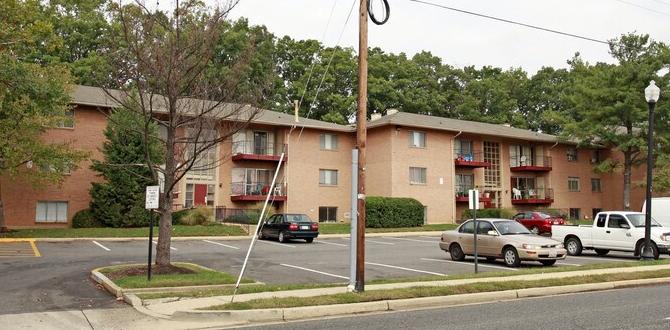 Types of apartments available in springfield gardens apartment for rent in springfield gardens queens