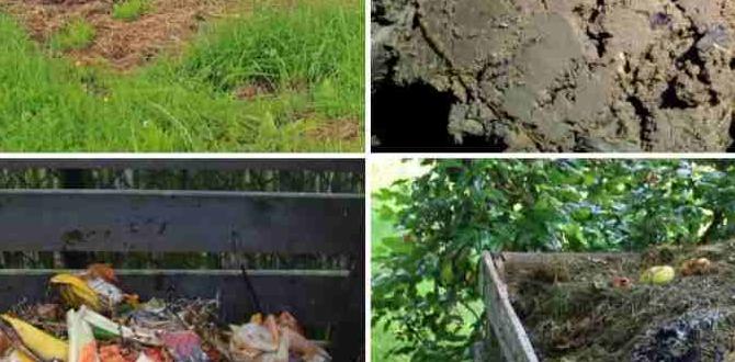 Types of compost compost for gardening Types of compost compost for gardening