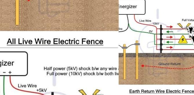 Types of electric fence kits electric fence kits for gardens Types of electric fence kits electric fence kits for gardens